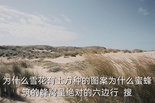 為什么雪花有上萬(wàn)種的圖案為什么蜜蜂筑的蜂窩呈絕對(duì)的六邊行  搜