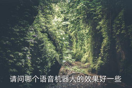 請問哪個(gè)語音機(jī)器人的效果好一些