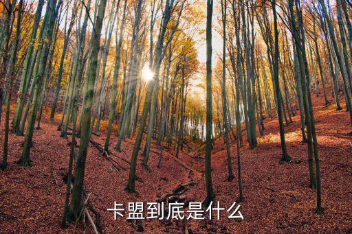 卡盟到底是什么