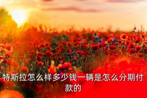 特斯拉無(wú)人駕駛汽車多少錢(qián)一輛，特斯拉怎么樣多少錢(qián)一輛是怎么分期付款的