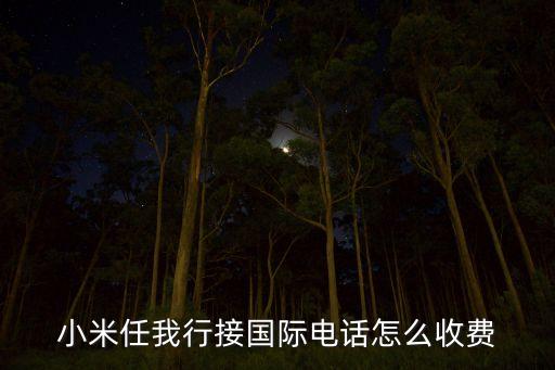 小米任我行接國際電話怎么收費(fèi)
