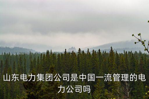 山東電力集團(tuán)公司是中國一流管理的電力公司嗎