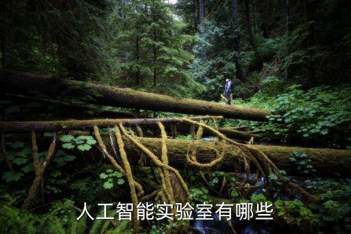 人工智能實(shí)驗(yàn)室有哪些