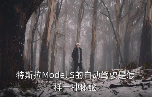 特斯拉Model S的自動(dòng)駕駛是怎樣一種體驗(yàn)