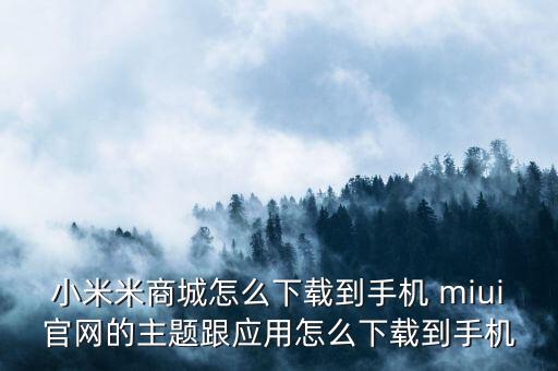 小米米商城怎么下載到手機(jī) miui官網(wǎng)的主題跟應(yīng)用怎么下載到手機(jī)