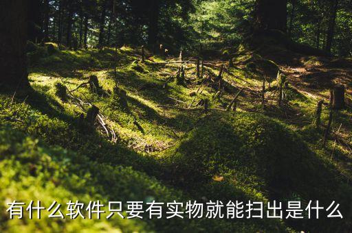 有什么軟件只要有實物就能掃出是什么