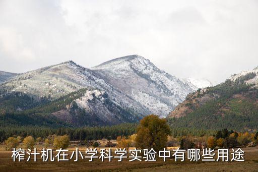 榨汁機在小學科學實驗中有哪些用途