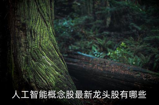 人工智能概念股最新龍頭股有哪些