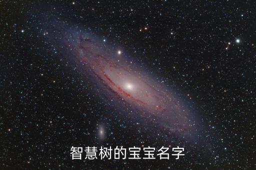 智慧樹的寶寶名字