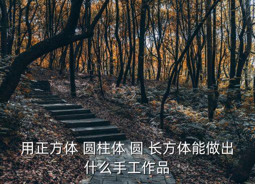 用正方體 圓柱體 圓 長(zhǎng)方體能做出什么手工作品