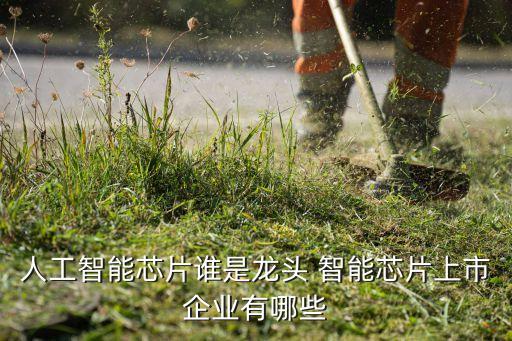 人工智能芯片誰是龍頭 智能芯片上市企業(yè)有哪些