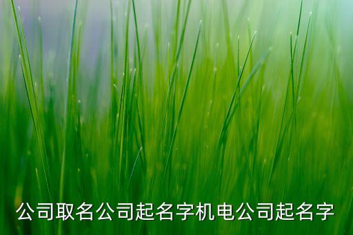 自動化機(jī)電設(shè)備公司取名，哪位高人幫忙給一個(gè)機(jī)電公司起個(gè)合適的名字