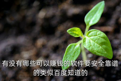 有沒有真的可以賺錢的軟件，有什么賺錢的軟件