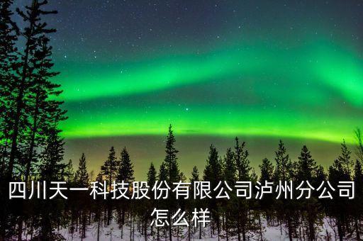 四川天一科技股份有限公司瀘州分公司怎么樣