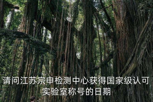 請(qǐng)問(wèn)江蘇宗申檢測(cè)中心獲得國(guó)家級(jí)認(rèn)可實(shí)驗(yàn)室稱號(hào)的日期