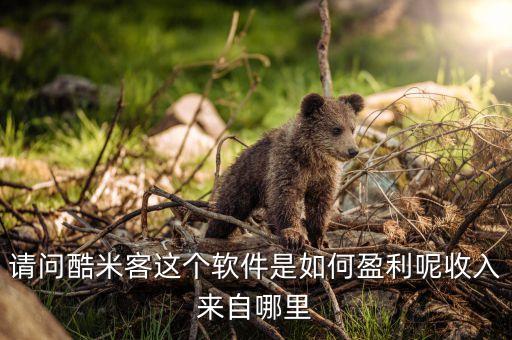 請問酷米客這個軟件是如何盈利呢收入來自哪里
