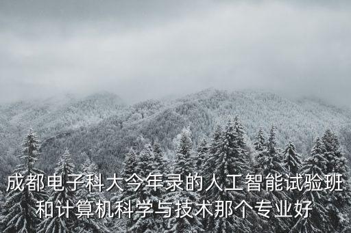 成都電子科大今年錄的人工智能試驗(yàn)班和計(jì)算機(jī)科學(xué)與技術(shù)那個(gè)專業(yè)好