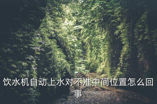 飲水機自動上水對不準中間位置怎么回事