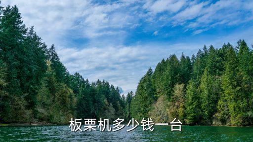 板栗機(jī)多少錢(qián)一臺(tái)