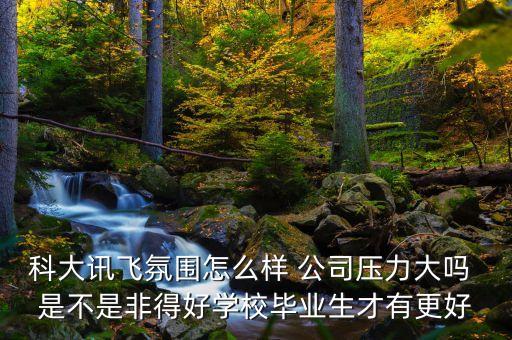 科大訊飛氛圍怎么樣 公司壓力大嗎 是不是非得好學(xué)校畢業(yè)生才有更好