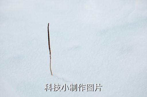 科技小制作圖片