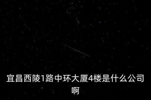 宜昌西陵1路中環(huán)大廈4樓是什么公司啊