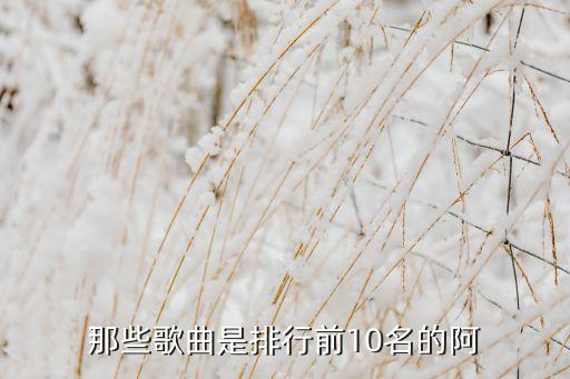 那些歌曲是排行前10名的阿