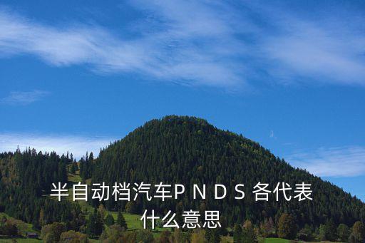 半自動檔汽車P N D S 各代表什么意思