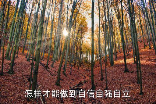 如何科技自立自強(qiáng)，怎樣才能做到自信自強(qiáng)自立