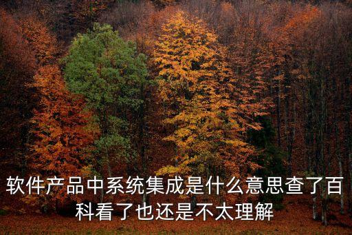 軟件產(chǎn)品中系統(tǒng)集成是什么意思查了百科看了也還是不太理解