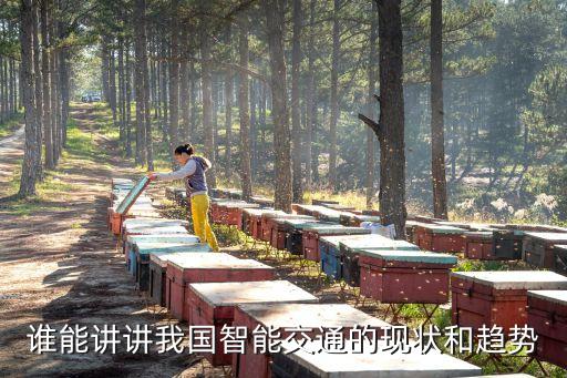 誰能講講我國智能交通的現(xiàn)狀和趨勢