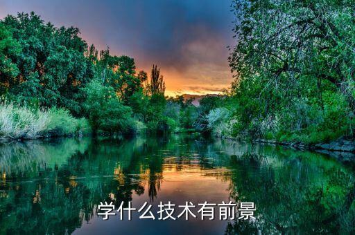 學(xué)什么技術(shù)有前景