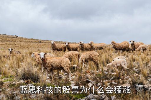 為啥科技股大漲，海外科技股為什么漲