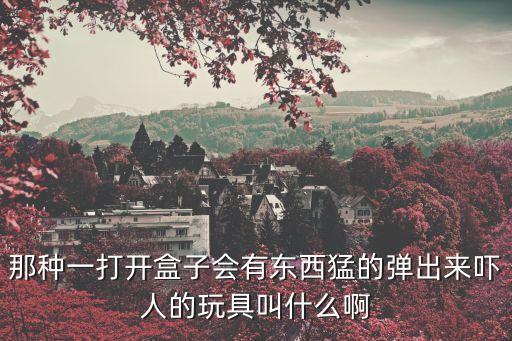 那種一打開盒子會(huì)有東西猛的彈出來嚇人的玩具叫什么啊