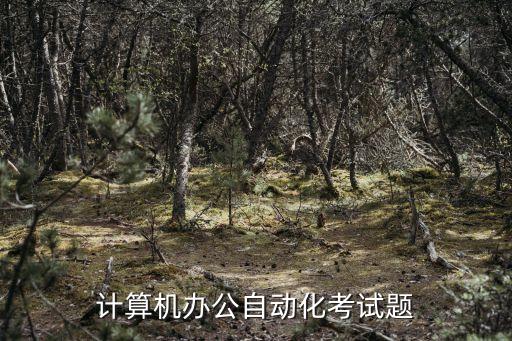 自動(dòng)化筆試題及答案，計(jì)算機(jī)辦公自動(dòng)化考試題