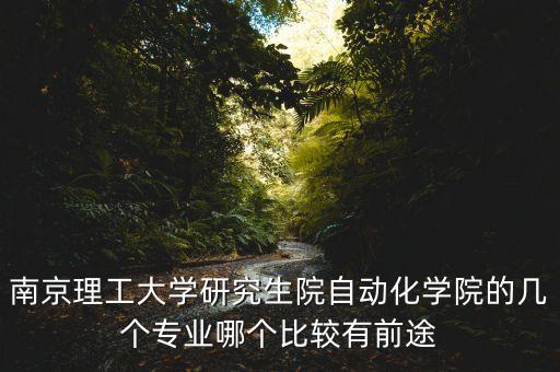 南京理工大學研究生院自動化學院的幾個專業(yè)哪個比較有前途