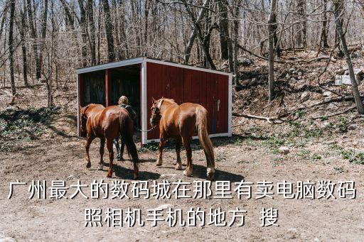 廣州最大的數(shù)碼城在那里有賣電腦數(shù)碼照相機(jī)手機(jī)的地方  搜