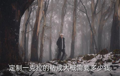 定制一克拉的鉆戒大概需要多少錢