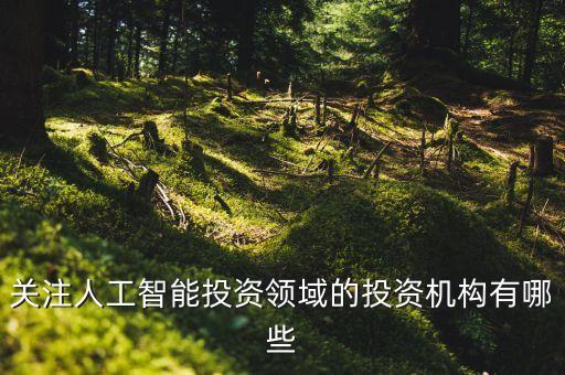 關(guān)注人工智能投資領(lǐng)域的投資機(jī)構(gòu)有哪些