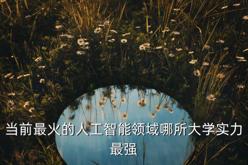當(dāng)前最火的人工智能領(lǐng)域哪所大學(xué)實(shí)力最強(qiáng)