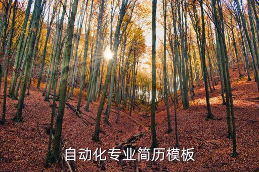 自動化專業(yè)簡歷模板