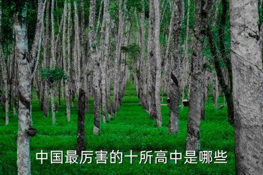 中國(guó)最厲害的十所高中是哪些