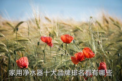 家用凈水器十大品牌排名都有哪些