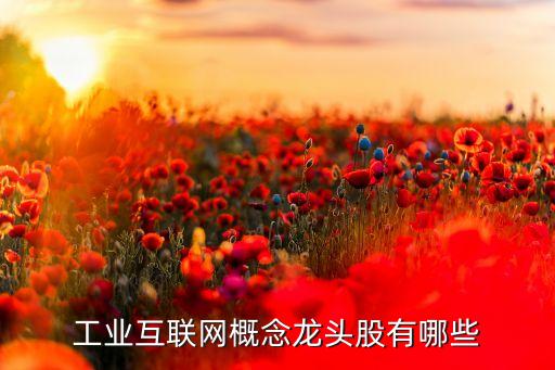 工業(yè)自動化龍頭股票，工業(yè)自動化概念股有哪些