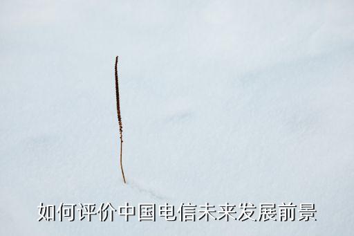 中國(guó)電信的未來潛力，中國(guó)電信發(fā)展?jié)摿θ绾? /></a><a href=