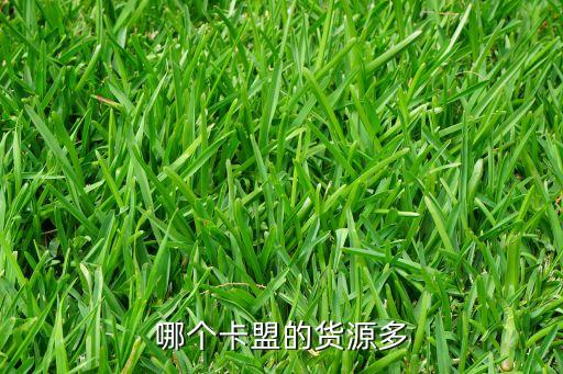 哪個(gè)卡盟的貨源多