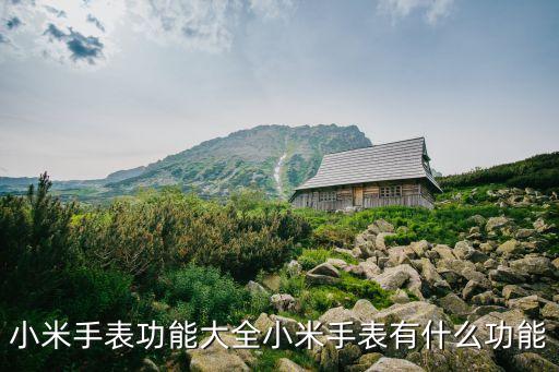 小米手表功能大全小米手表有什么功能