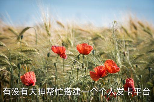 有沒有大神幫忙搭建一個(gè)個(gè)人發(fā)卡平臺(tái)