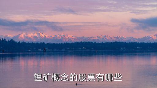 鋰礦概念的股票有哪些