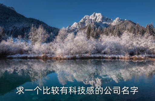 求一個比較有科技感的公司名字